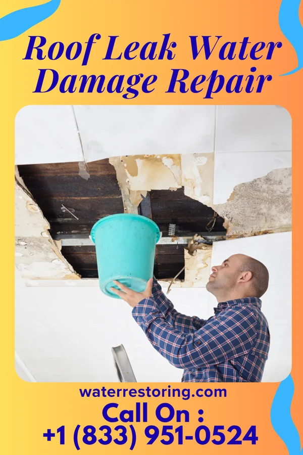 Roof Leak Water Damage Repair in Wagon Mound, NM