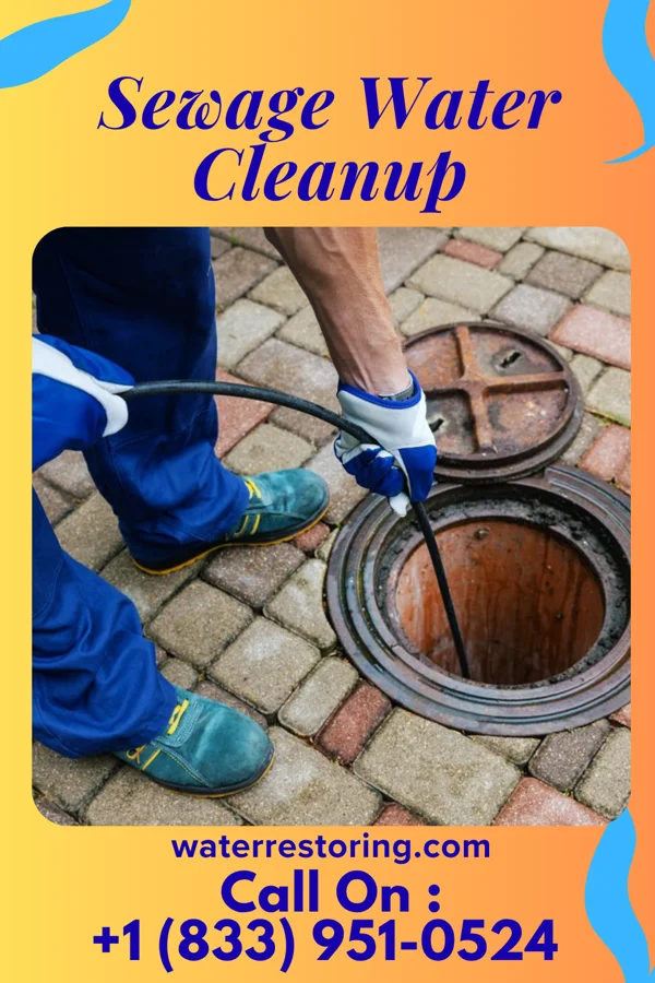 Sewage Water Cleanup in Wagon Mound, NM